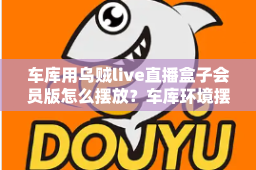 车库用乌贼live直播盒子会员版怎么摆放？车库环境摆放全攻略与实用技巧一文学会