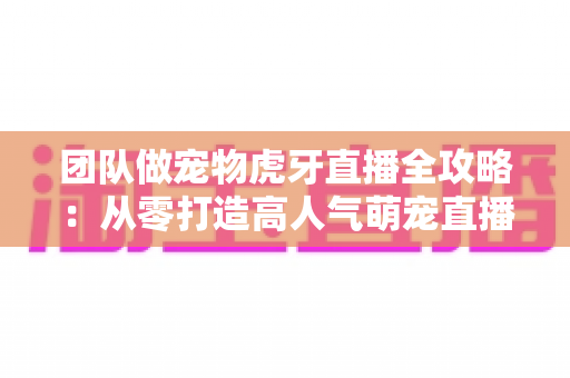 团队做宠物虎牙直播全攻略：从零打造高人气萌宠直播间的实战指南