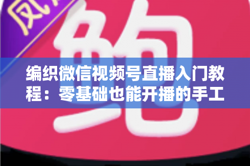 编织微信视频号直播入门教程:零基础也能开播的手工变现实战指南 编织微信视频号直播入门教程:零基础也能开播的手工变现实战指南