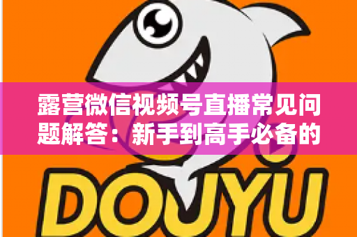 露营微信视频号直播常见问题解答：新手到高手必备的实战指南