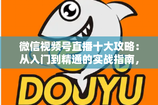 微信视频号直播十大攻略：从入门到精通的实战指南，助你快速提升直播间人气与转化