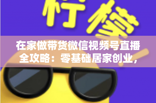 在家做带货微信视频号直播全攻略：零基础居家创业，一部手机开启副业变现之路
