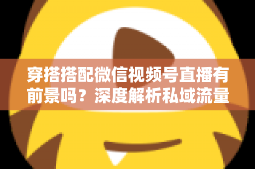 穿搭搭配微信视频号直播有前景吗？深度解析私域流量时代的时尚创业新机遇