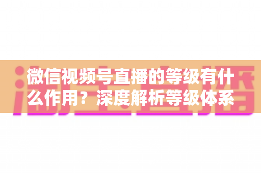 微信视频号直播的等级有什么作用?深度解析等级体系的价值、玩法与提升全攻略 微信视频号直播的等级有什么作用?深度解析等级体系的价值、玩法与提升全攻略