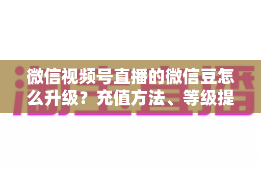 微信视频号直播的微信豆怎么升级？充值方法、等级提升与使用技巧全解析