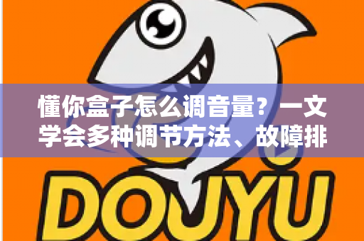 懂你盒子怎么调音量？一文学会多种调节方法、故障排查与音质优化全攻略