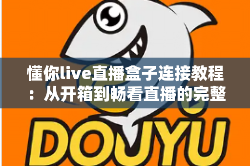 懂你live直播盒子连接教程：从开箱到畅看直播的完整指南
